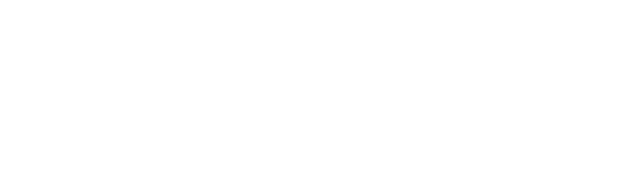 The New York Times Bestseller