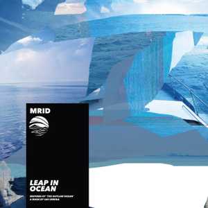 Leap in Ocean by Mrid