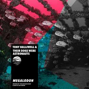 Megalodon by Tony Halliwell