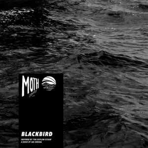 Blackbird by Moth Equals